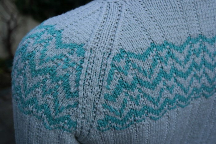 Lamentation for Calmer (Raglan Detail) Lamentation for Calmer (Raglan Detail)