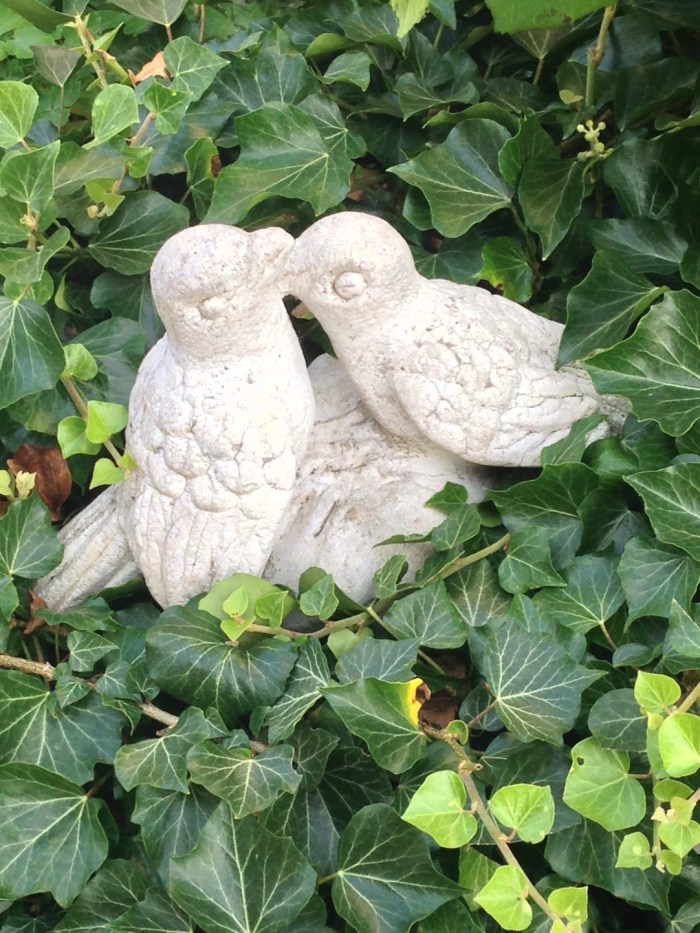 Happy birthday, mum!