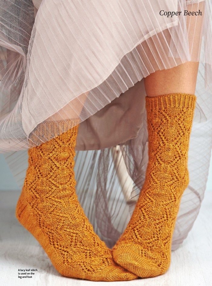 Copper Beech by Rhian Drinkwater