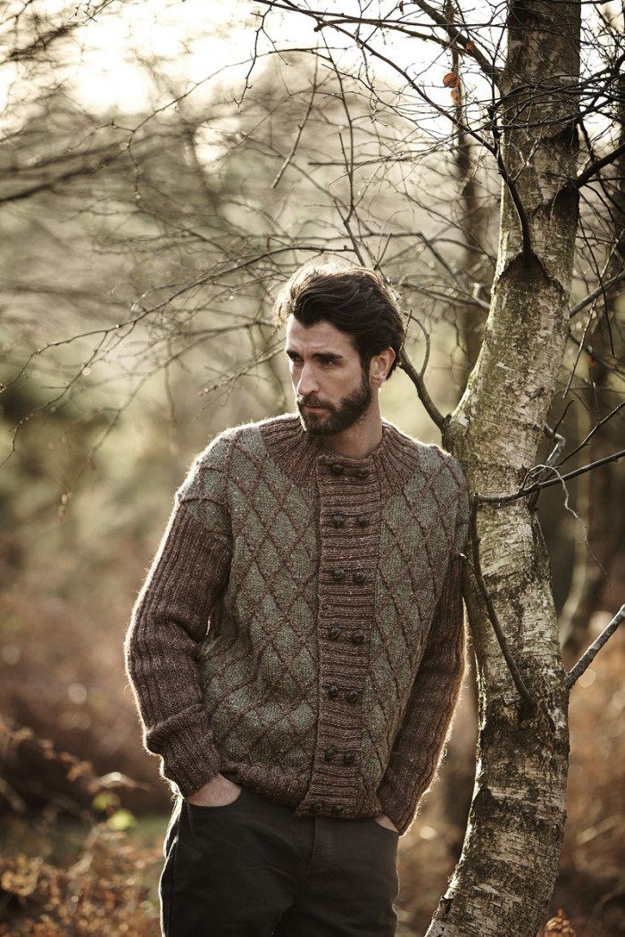 Clydesdale by Lisa Richardson